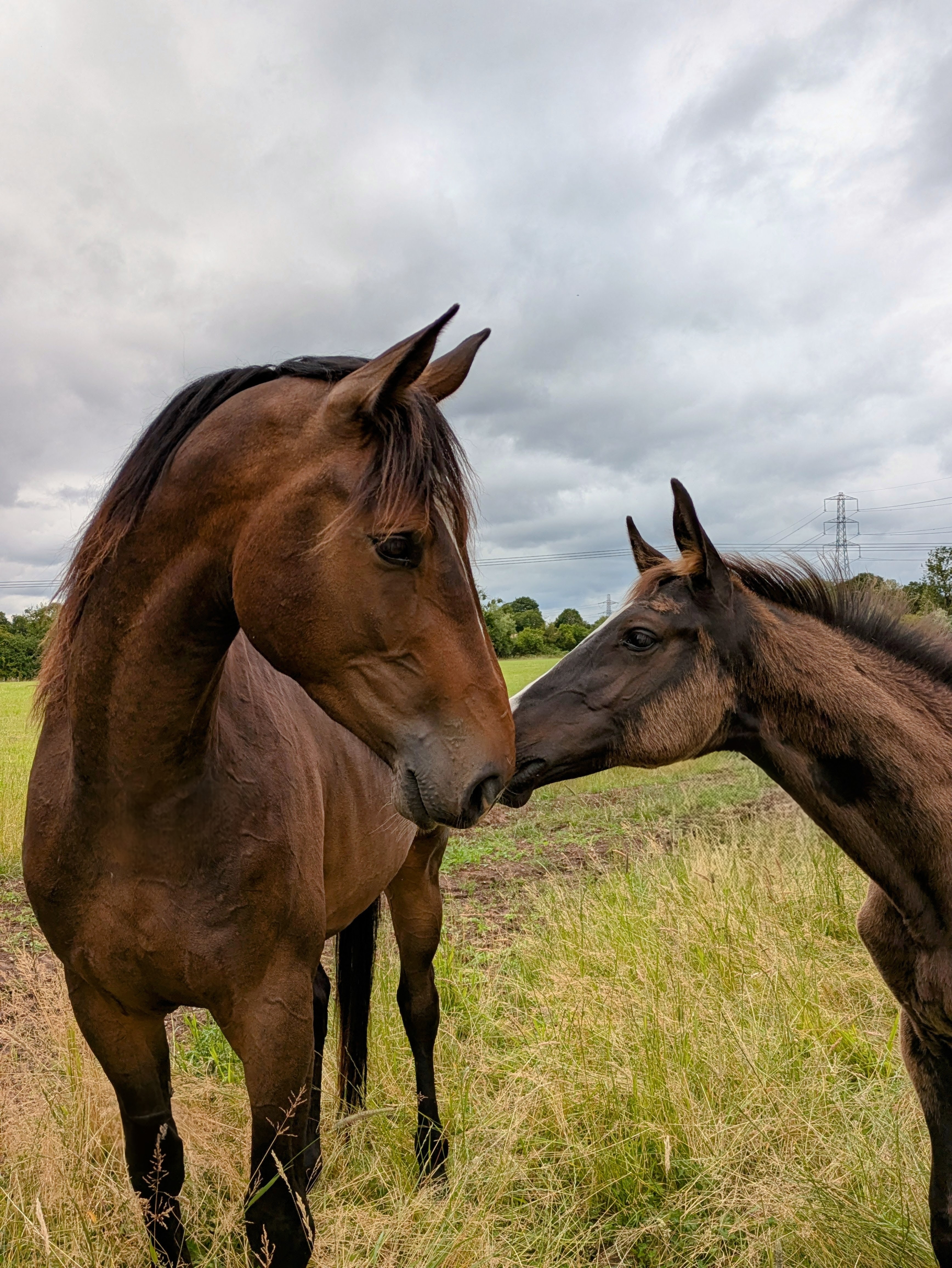 Post-Surgery & Rehab